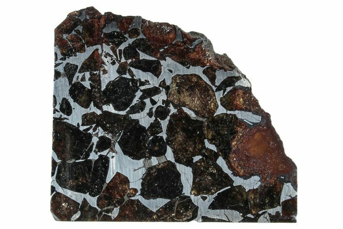 Seymchan Pallasite Meteorite Slice ( g) - Russia #263205